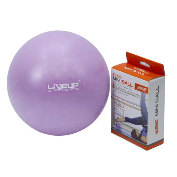 LIVEUP Exercise Mini Ball - PVC Anti-Brust 20CM LS3225 Purple