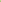Apollo Sports CA King tennis cricket ball in bright neon green with a high-rebound felt surface and black logo