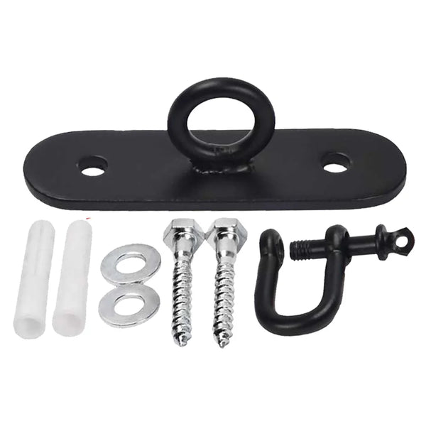 Apollo Boxing Bag Roof Mount 1brm94