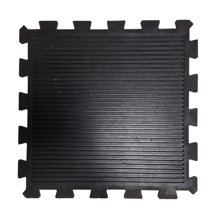 Apollo Gym Floor Mat Thick Rubber Mat 20 Inch Square 15mm – Apollo