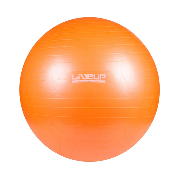 Liveup Gym Ball Anti Burst 65cm LS3222